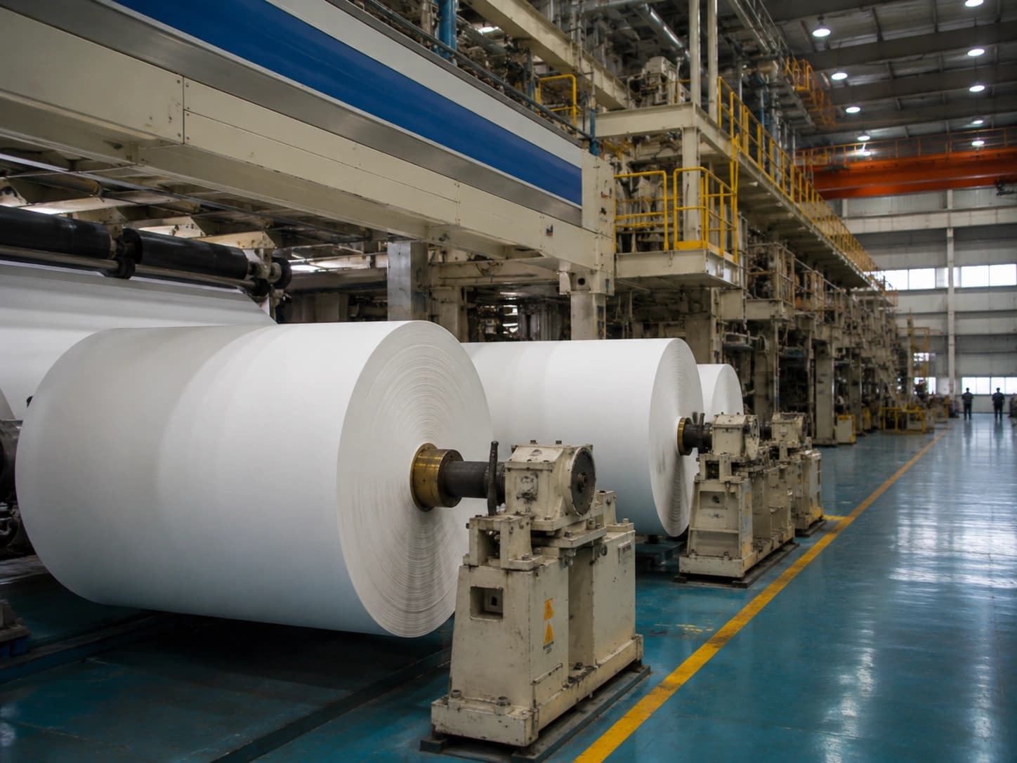 Pulp & Paper